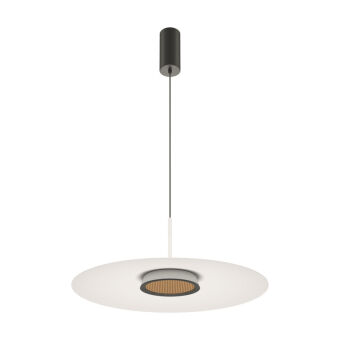 Подвесной светильник Maytoni MOD041PL-L15W3K1