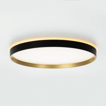 Накладной светильник Citilux CL750401R