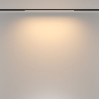 Светильник на шине Maytoni Technical TR173-1-16WTW-B