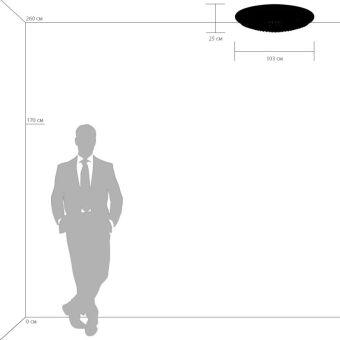 Накладная люстра Lightstar 704214