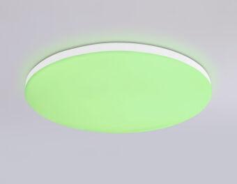 Накладной светильник Ambrella Light FZ2001