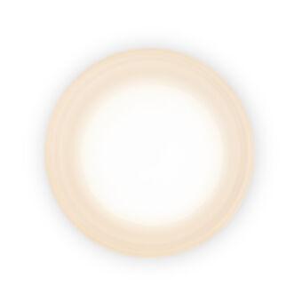 Бра Freya FR5603WL-L8W