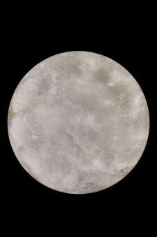 Бра Fluorite FL1020-1WH