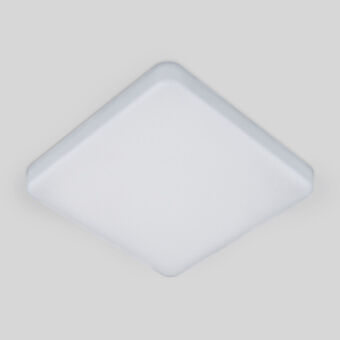 Накладной светильник Elektrostandard DLS043 10W 4200K