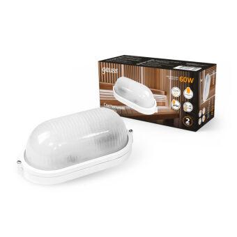 Пылевлагозащищенный светильник Gauss 926602206