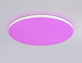 Накладной светильник Ambrella Light FZ2001