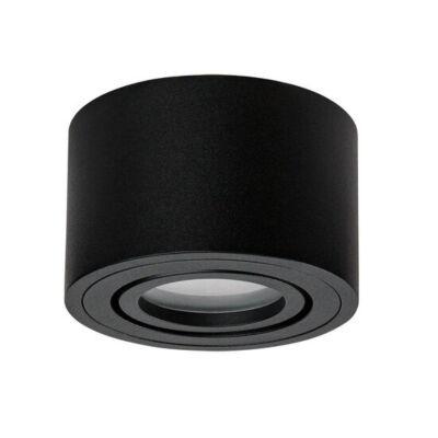   ARTE Lamp A0550PL-1BK