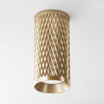 Накладной светильник Maytoni Technical C036CL-01G