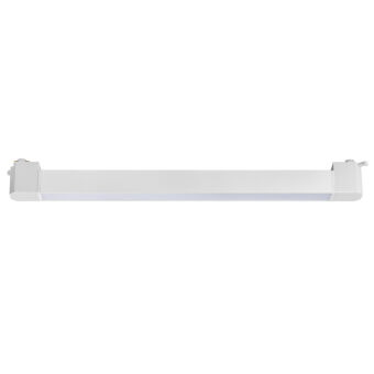    Lightstar 202336