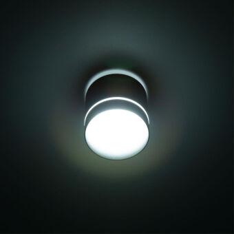 Накладной светильник Citilux CL745021N