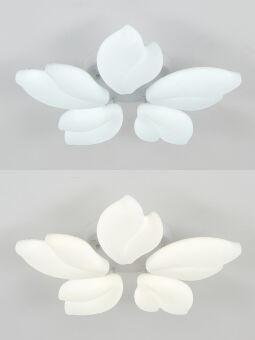 Накладная люстра Natali Kovaltseva LED LAMPS 81116