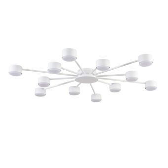 Накладная люстра LUMION 8343/12C