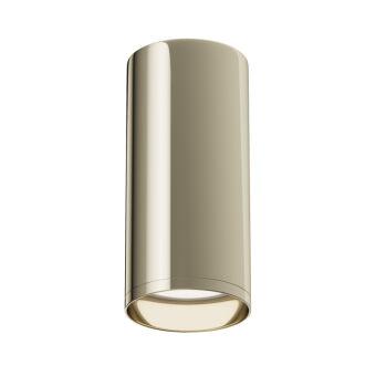 Накладной светильник Maytoni Technical C010CL-01G