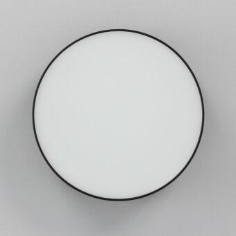 Накладной светильник Citilux CL712122N