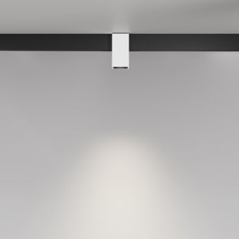 Светильник на шине Maytoni Technical TR121-2-7W4K-W