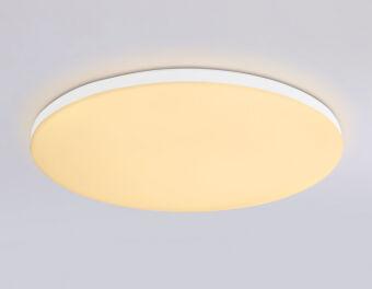 Накладной светильник Ambrella Light FZ2002