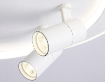 Накладной светильник Ambrella Light FL51391