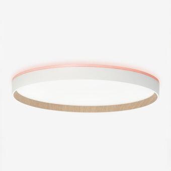 Накладной светильник Citilux CL750400R