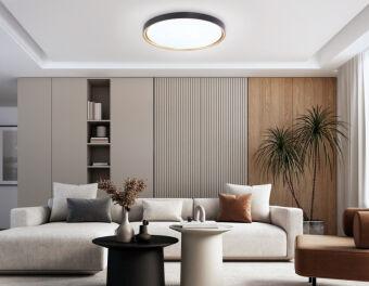 Накладной светильник Ambrella Light FZ1249