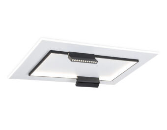 Накладной светильник Ambrella Light FL51456