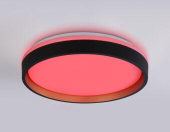 Накладной светильник Ambrella Light FZ604