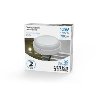 Пылевлагозащищенный светильник Gauss 126411312