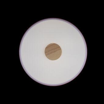 Потолочный детский светильник LOFT IT 10003/24 Pink