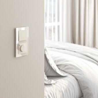 Терморегулятор Werkel W1151162