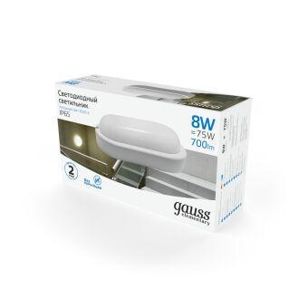 Пылевлагозащищенный светильник Gauss 161411308