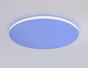 Накладной светильник Ambrella Light FZ2001