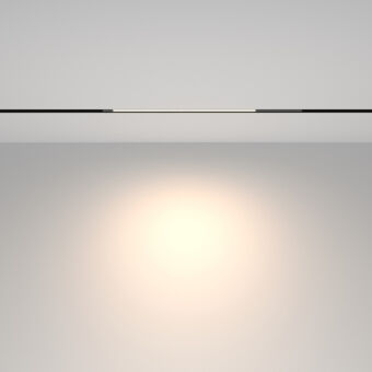 Светильник на шине Maytoni Technical TR231-2-10W4K-B