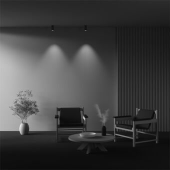 Накладной светильник Maytoni Technical C056CL-L12W3K-W-BS