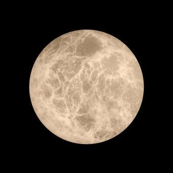 Бра LOFT IT 10414W/S