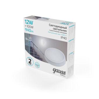 Офисный светильник Gauss 193411212-OAS