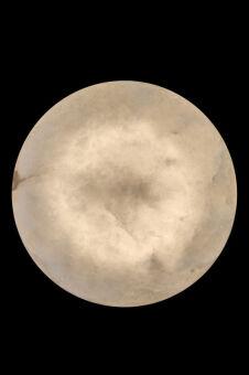 Бра Fluorite FL1020-1WH