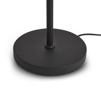 Торшер Freya FR5553FL-L20B