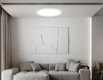 Накладной светильник Ambrella Light FZ1909