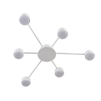 Накладная люстра LUMION 8343/6C