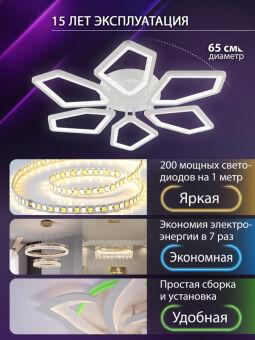 Накладная люстра Natali Kovaltseva LED LAMPS 81443