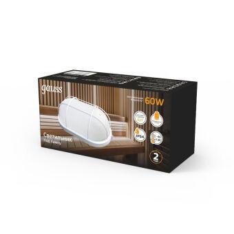 Пылевлагозащищенный светильник Gauss 926602216