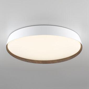 Накладной светильник Citilux CL754450G