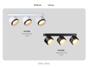 Спот Ambrella Light TN71291