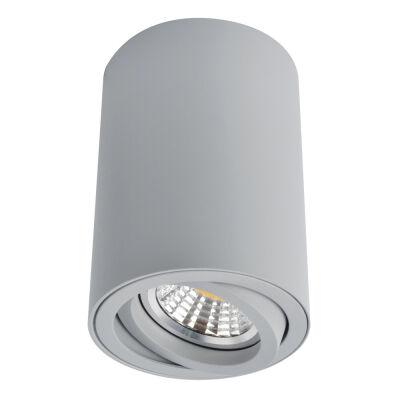    Arte Lamp SENTRY A1560PL-1GY