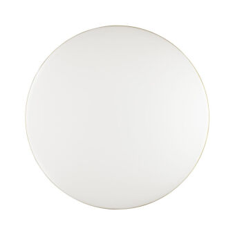 Накладной светильник Sonex 3043/DL