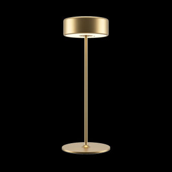 Настольная лампа Maytoni MOD229TL-L3G3K2