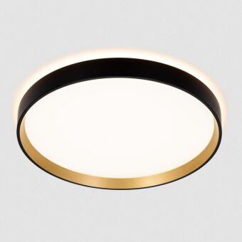 Накладной светильник Citilux CL750321R