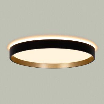 Накладной светильник Citilux CL750321R