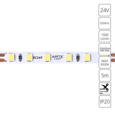  ARTE Lamp A2412005-03-6K