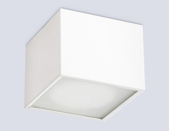 Накладной светильник Ambrella Light TN6530