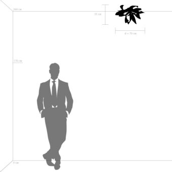 Накладная люстра Lightstar 754166